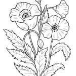 de 150】Dibujos de Flores para Imprimir y Colorear GRATIS !!!
