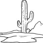 dibujo de cactus