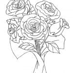 dibujo de ramo de rosas para colorear