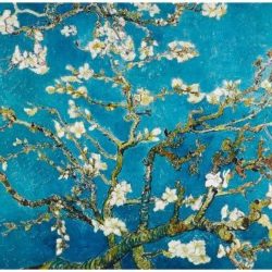 Póster Vincent Van Gogh flor de almendro