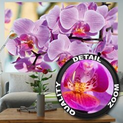Fotomural de orquídeas