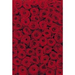 Papel pintado "rosas rojas"(4 unidades) 194 x 270 cm