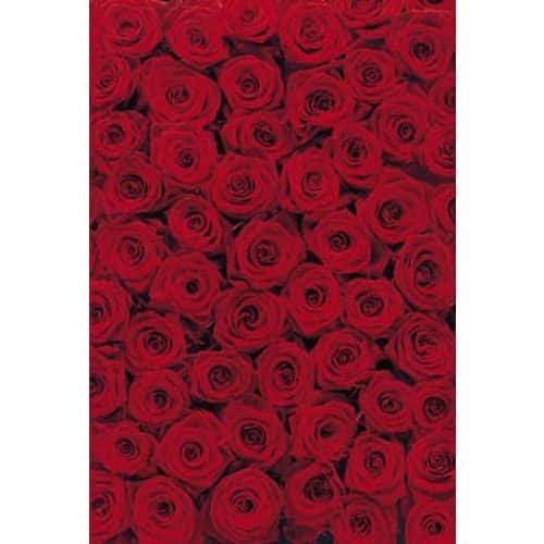 Papel pintado "rosas rojas"(4 unidades) 194 x 270 cm