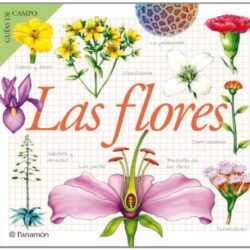Las Flores: Guía de campo