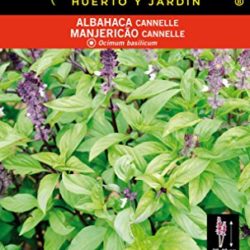 Albahaca Cannelle